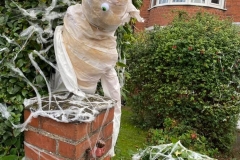 1_SSR-Scarecrow-1