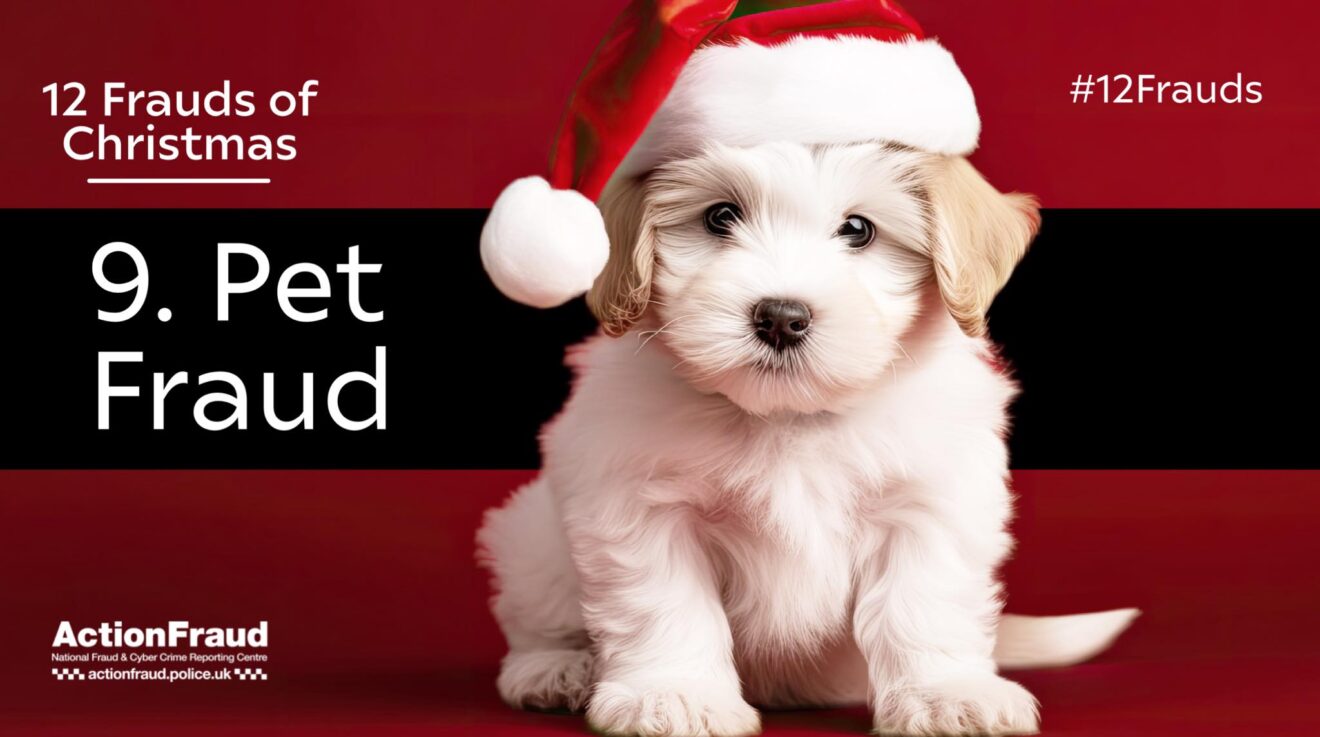 Paws for thought when buying a pet online!