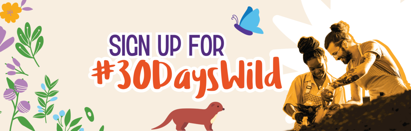 #30DaysWild - Wildlife Trusts