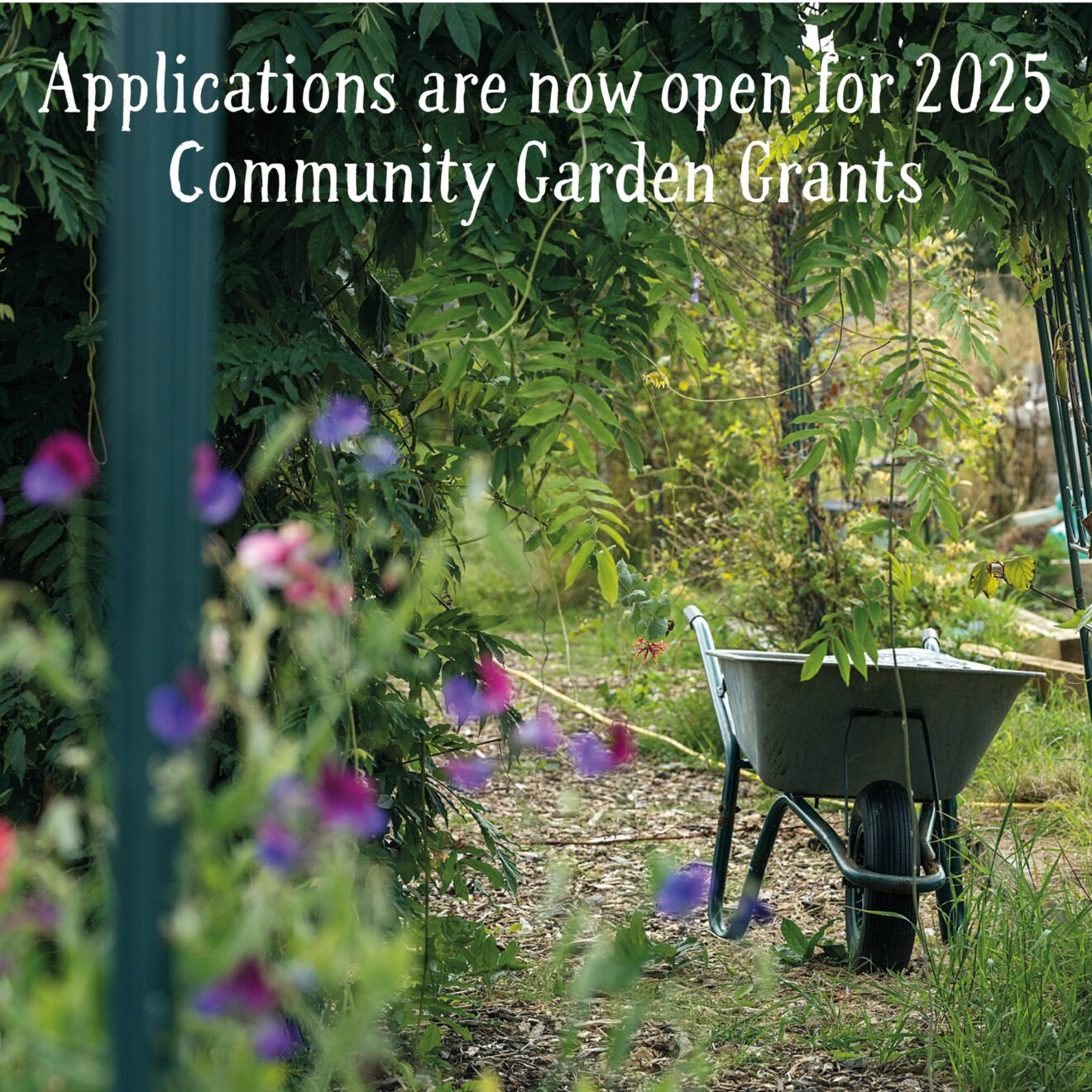 Applications for 2025 Community Garden Grants is now open