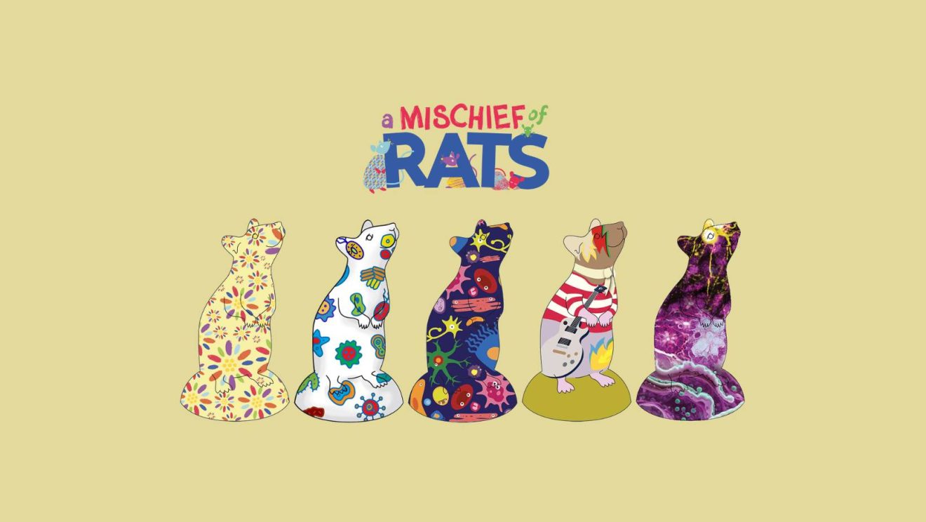 A Mischief of Rat comes to the Alf Marshall Centre!