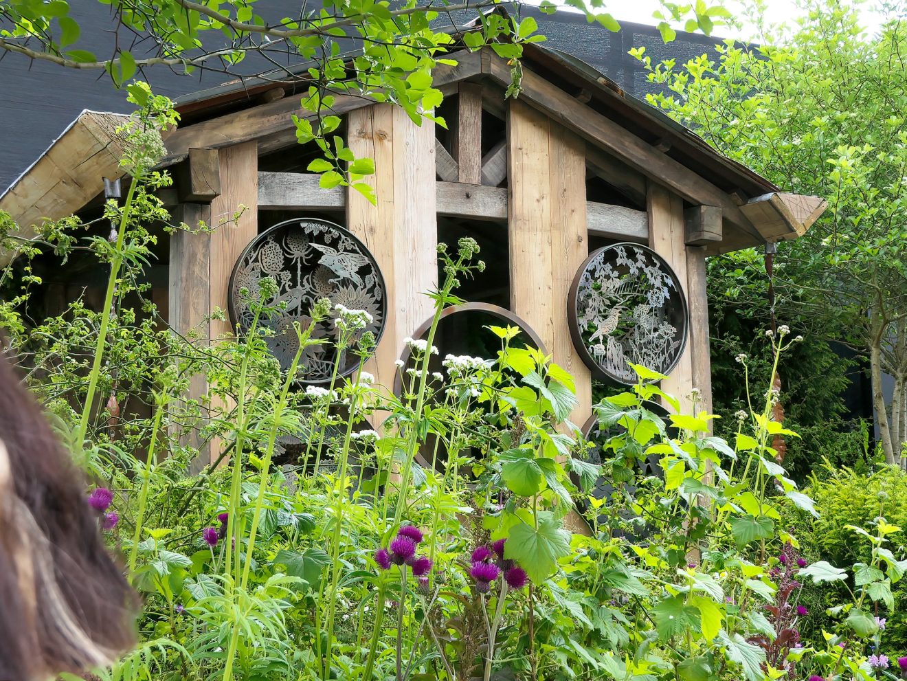 Songbird Survival Garden Comes To The Alf Marshall Centre!